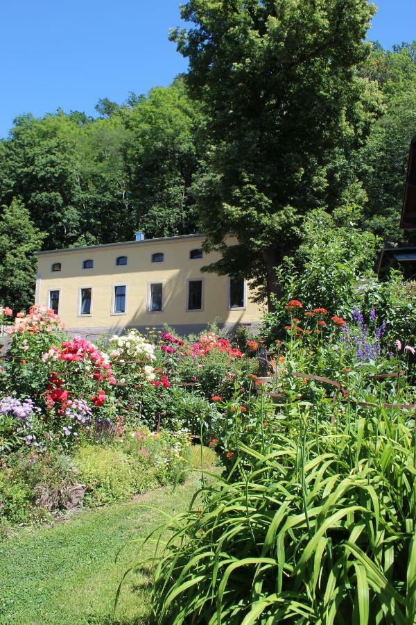 Ferienwohnung Goldgrund Meißen Dış mekan fotoğraf